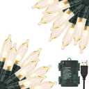 Christmas Lights 33ft 100 LED Battery String Lights with Timer Memory Function USB or Battery Powered Waterproof String Lights for Indoor Outdoor Decoration (Warm White)