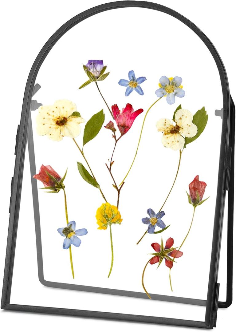 Double Glass Frame for Pressed Flowers Handmade, Metal Floating Picture Frame for Pressed Flower, Tabletop Display, Brass, ArcShaped, Black, 4x6 inches (FRAME ONLY) (4L" x 6W")