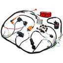 PRO BAT Complete Electrics 4 Stroke Wiring Harness Kit 8 Coil CDI Stator Tail Light for 150cc 200cc 250cc 300cc 4 Wheelers Stroke ATV Go Kart Quad Pit Dirt Bike Zongshen Lifan YX