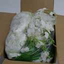 Artificial Wisteria Hanging Flowers Fake Wisteria Flower Garland Silk Vines Rattan Decor for Home Wedding Arch Wall Garden Greenery Bedroom Outdoor Office Party Decoration (36, White)