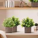 Suzile 12 Set 5 Inch Wooden Planter Box Flower Square vases for Centerpiece Rustic Cube Planter Box with Removable Foam Blocks Liner Square Vase Craft for Garden Home (Brown)