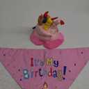 SUPVOX Adorable Dog Birthday Hat and Bib Set Dog Birthday Decor for Pet Parties and Stylish Great for Celebrating Furry Friends, Pink