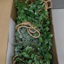 3 Pack Mini Artificial Hanging Greenary Fake Hanging Plants in Basket for Wall Living Room Decor Bathroom Shelf Home Indoor