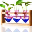 Nacome Plant Terrarium for Office Decor: Birthday Gifts for Plant Lovers Women Mom Wife - Wooden Stand Tabletop Planter 3 Bulb Glass Vase Heart Shaped for Hydroponics Indoor Home(Purple)