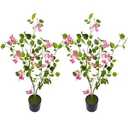 VIGGDA Artificial Tree Faux Bougainvillea Tree 3ft Tall Fake Bougainvillea Plant in Pot Fake Silk Tree Faux Plants Indoor(2pack)