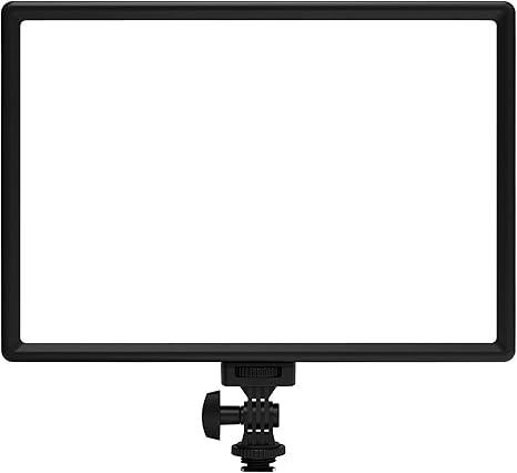RALENO LED Video Light, Camera Light for Pictures Video Recording with 4000mAh Battery Support Type-C USB Power Supply, CRI>95 3200K-5600K Photo Lights for Outdoor Photography Live Streaming Zoom Call