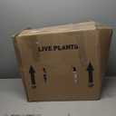 Artificial Olive Tree 4ft  Lifelike Indoor Faux Plant with One-Piece Branches, Realistic Leaves and Fruit, Evergreen, No Maintenance, for Home or Office Dcor