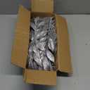 Winlyn 30 Pcs Christmas Artificial Leaf Sprays Cedar Picks Silver Glittered Christmas Tree Ornaments Winter Floral Stems for Sliver Christmas Tree Wreaths Centerpieces Holiday Wedding Decoration