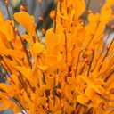 UiiziC Artificial Flowers Jasmine 8 PCS 31"/80cm Faux Plants Bulk Fake Flower Bouquet for Vase Fillers Floral Arrangement Wreath Wedding Party Bouquets Garden Centerpieces Decor (Orange)