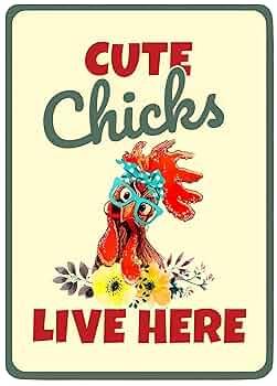 Chicken Coop Sign Do Not Make the Chickens Angry Vintage Metal Tin for Chicken Coop Home Yard Indoor Outdoor (Red)