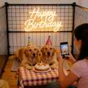Happy Birthday Neon Sign for Wall Decor, LED Happy Birthday Light Up Sign with 10 Pcs Ballons, Dimmable Happy Birthday Lights Signs for All Birthday Party Decorations Backdrop, Warm White