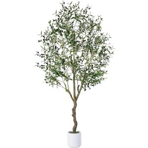 Artificial Olive Tree Indoor 6FT, Tall Faux Olive Tree with White Planter
Realistic Artificial Olive Tree Indoor with Natural Trunk, Lifelike Fruits, Sturdy Base for Modern Home Office Living Room