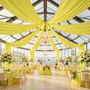 50ftx40ft Light Yellow Ceiling Curtain for Wedding Parties | 10 Panels Wrinkle-Free 40 FT Long Tent Draping Curtains for Wedding, Birthday & Theme Parties, 40ft Height with Rod Pocket