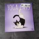 Yoga Cats OFFICIAL | 2026 12 x 24 Inch (Hanging) Monthly Square Wall Calendar | Plastic-Free | BrownTrout | Animals Humor Pets