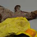 No Stuffing Dog Squeak Toys-3 Pack Chew Toys for Small Medium Large Breed- Durable Puppy Teething Interactive to Keep Them Busy- Best Birthday Gift (Yellow & Coffee & Green)