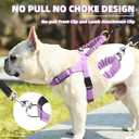 PUPTECK No Pull Dog Harness Small Sized Dog, Adjustable Reflective Pet Vest Harness with Bungee Handle, Escape Proof No Choke Harness for Small Dogs Walking Training, Purple S