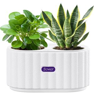 HOSUN 4-Inch Self Watering Planter, Dual Chamber Plastic Plant Pot with Drainage & Wick, Low Maintenance Indoor Flower Pot for Succulents, Aloe Vera, Herbs (White)