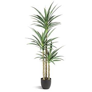Waoops Artificial Tree 5.3Ft Faux Agave Plant with 3 Heads in Plastic Pot Fake Tree for Home Decor Indoor or Outdoor Office Decoration Housewarming Gift