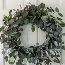 HD 24in Eucalyptus Wreath