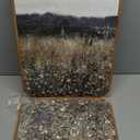 InSimSea 2 Pcs Framed Wall Art Vintage Landscape Decor, Meadow Scenery Paintings Above Bed Wall Decor, Canvas Prints, Living Room Bedroom Office Farmhouse Decorations, 16"x24" Set of 2 (Champ Fleuri)