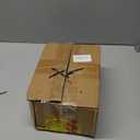 48 Pcs Halloween Eyeballs 1.6 in Plastic Scary Eye Balls Realistic Ping Pong Eyeballs Horror Props Fake Colorful Table Tennis Balls for Halloween Party Terror Props Decor