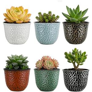 Worth Garden Plastic Round 8 Inch Planters for Indoor Plants Set of 6 Outdoor Resin Flower Pots Colorful with Drainage Hole Rubber Plug Retro Appearance Home Christmas Decorative Containers Multicolor
Visit the Worth Store