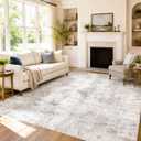 5x7 Area Rug Washable Non-Slip Living Room Rugs,Gray Area Rug