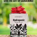 Lettuce Pods Beginner Indoor Garden - Includes Romaine, Buttercrunch Lettuces, Spinach, Arugula, and Kale Heirloom Seeds, Sponges and More! - Complete Hydroponic Garden Salad Kit