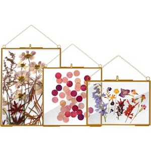 3 Pcs Glass Picture Frame for Pressed Flower,Golden Hanging Photo Frame Clear Glass Artwork Display Frame with Chain for Dried Plant Gallery Wall Decor DIY Home Wall Art