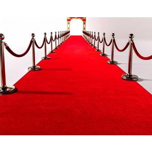 Extra Thick 3x10Ft Red Carpet Runner for Party, Non-Slip TPR Backing Aisle Runway Rug Felt for Indoor & Outdoor, Occasions, Graduation, Birthdays & Special Events Decorations, Long Term use