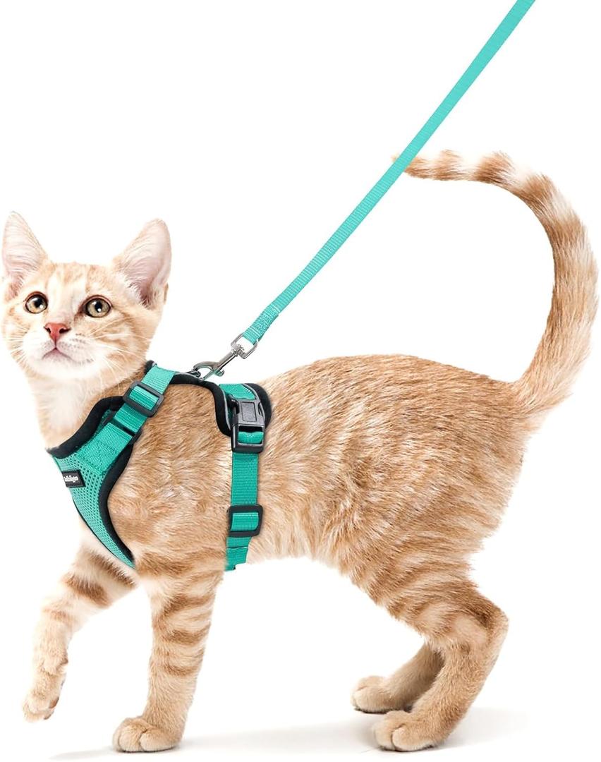 rabbitgoo Cat Harness and Leash for Walking, Escape Proof Soft Adjustable Vest Harnesses for Cats, Easy Control Breathable Reflective Strips Jacket, Emerald, Small