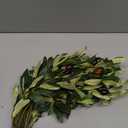 YOOHOTOUCH 5PCS Artificial Olive Branches for Vases 18.9 Inch Faux Olive Tree Stems with Fruits, Fake Plants Greenery Leaves for Home Decor Weddings Party Floral Arrangement