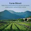 5 x CHAYEAH, Jade Select Matcha  Organic Ceremonial Grade Matcha Green Tea Powder for Lattes & Everyday Matcha, First Harvest (1.06 oz Tin)