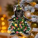 3 x 2025 Black French Bulldog Christmas Tree Ornament - Festive Holiday Hanging Decoration with Adorable Frenchie Dog - Black Frenchie Dog Christmas Tree Topper Ornaments