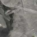 Zezzxu White Angel Wings with Halo and Fairy Wand for Adult Feather Wing Angel Costume for Christmas Cosplay (23.6 x 17.7 Inch)