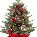 2ft Tabletop Christmas Tree, 24" Mini Small Christmas Tree with Timer 30 LED Warm Lights, Realistic-Feel PE Norfolk Pine Frosted Branches Red Berry Pincone Cloth Base Indoor Home Christmas Decorations (Flocked White-24 Inch)