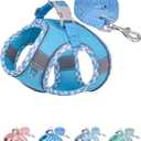 Petank Dog Harness No Pull, Puppy Harness and Leash Set, Step in Dog Harness for Walking, Running, Training, Small Dog Vest(Bule, XXS)