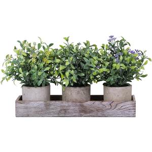 Winlyn Set of 3 Mini Artificial Potted Plants Faux Seeded Boxwood Greenery Arrangement with Wood Planter Box for Indoor Office Apartment Wedding Tabletop Decorations 8.5" Tall