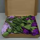 36 Pcs Lilac, Purple Artificial Roses with Long Stems