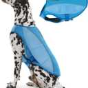 ROZKITCH Dog Cooling Vest, Dog Harness Cooler Jacket with Zipper Opening, Lightweight Evaporative Cooling Vests in Summer Hot Weather Outdoor Hiking Walking Camping Training Hunting Blue L (L(Chest: 22"-26"))
