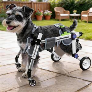 Dog Wheelchair 4 Wheels Adjustable, Full Body Support Dog Cart for Front & Rear Legs, Lightweight Mobility Aid for Disabled Small Dogs