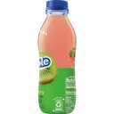 Snapple Kiwi Strawberry Juice Drink, 16 Fl Oz Recycled Plastic Bottle, Pack Of 12, All Natural, No Artificial Flavors Or Sweeteners, Contains 3% Real Juice (EXP 06/06/25)