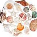 20 PCS Large Seashells Mixed Beach Sea Shells Conch and Ocean Starfish,Natural Colorful Sea Shells Starfish Up to 6.5 Inch, Perfect for Beach Theme Party Home Decor DIY Crafts Fish Tank Decorations