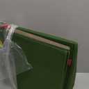 ZOBER Large Christmas Ornament Storage Box - Stores 128 3" Ornaments, With Dividers - Ornament Organizer Storage Box, Durable Christmas Containers Holder - Extra Pockets, Dual Zipper - Green