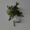 Spring Decor Pick 4 Packs