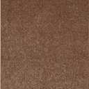 Bright House Solid Color Area Rugs Brown - 3' x 5' Rectangle, Indoor, Stain & Fade Resistant, Perfect for Living Room, Bedroom, Dining Room, Entryway, Doorway, Pet & Kids Friendly Rug, Wedding