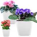 Self Watering Planters for Indoor Plants : 5 inch 3 Pack White African Violet Self Watering Flower and Herb pots