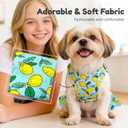 BAEJMJK Dog Dress Bowknot Harness Leash Set for Small Dogs Cats Girl Floral Princess Dog Dresses Cute Puppy Fruit Clothes Pet Doggy Outfits Spring Summer Breathable Dresses (Green,Medium)