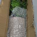 Briful Small Fake Plant Potted Plants Artificial Decor Plastic Asparagus Ferns Plant Faux Plants in Pots for Home Living Room Bedroom Desk Shelf Farmhouse Decoration (Color #03)