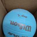 WILSON 2025 AVP Soft Play Volleyballs, Color: Blue, 
Item Weight	270 g